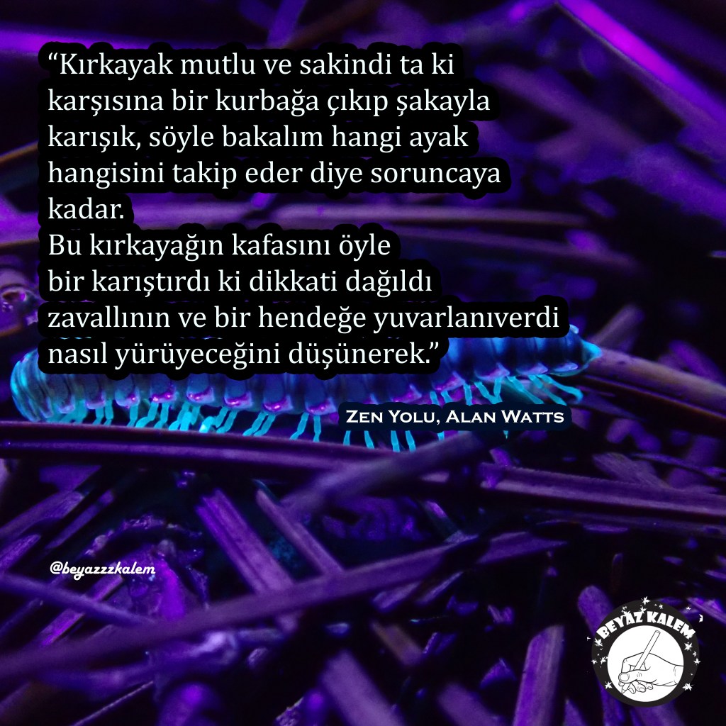 Beyazzzkalem söz kitaplığı