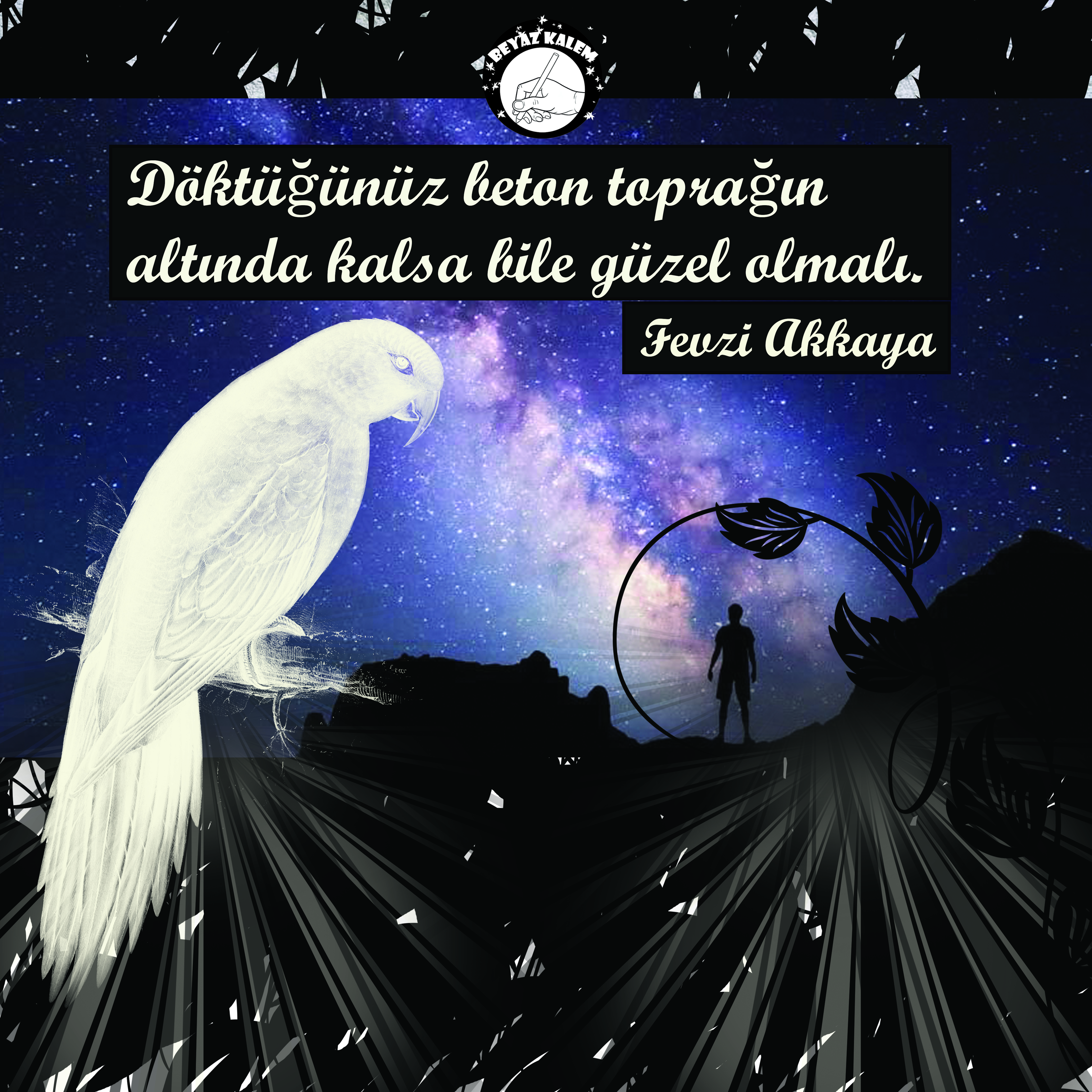 Beyazzzkalem söz kitaplığı