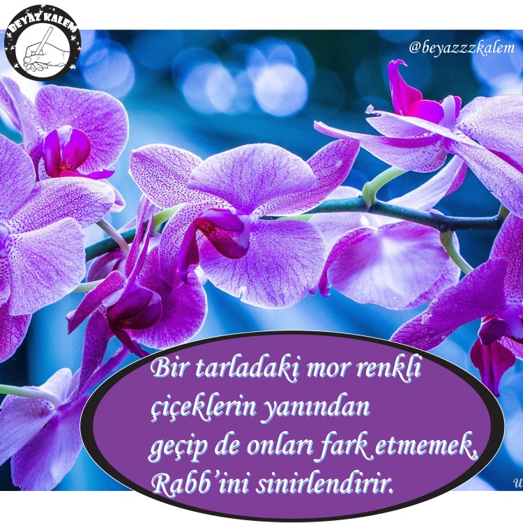 Beyazzzkalem söz kitaplığı