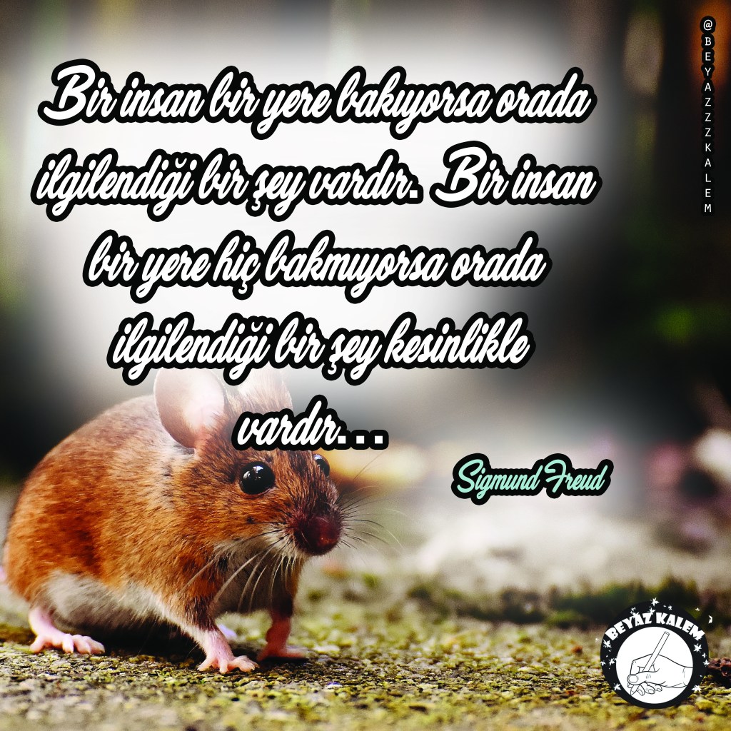 Beyazzzkalem söz kitaplığı