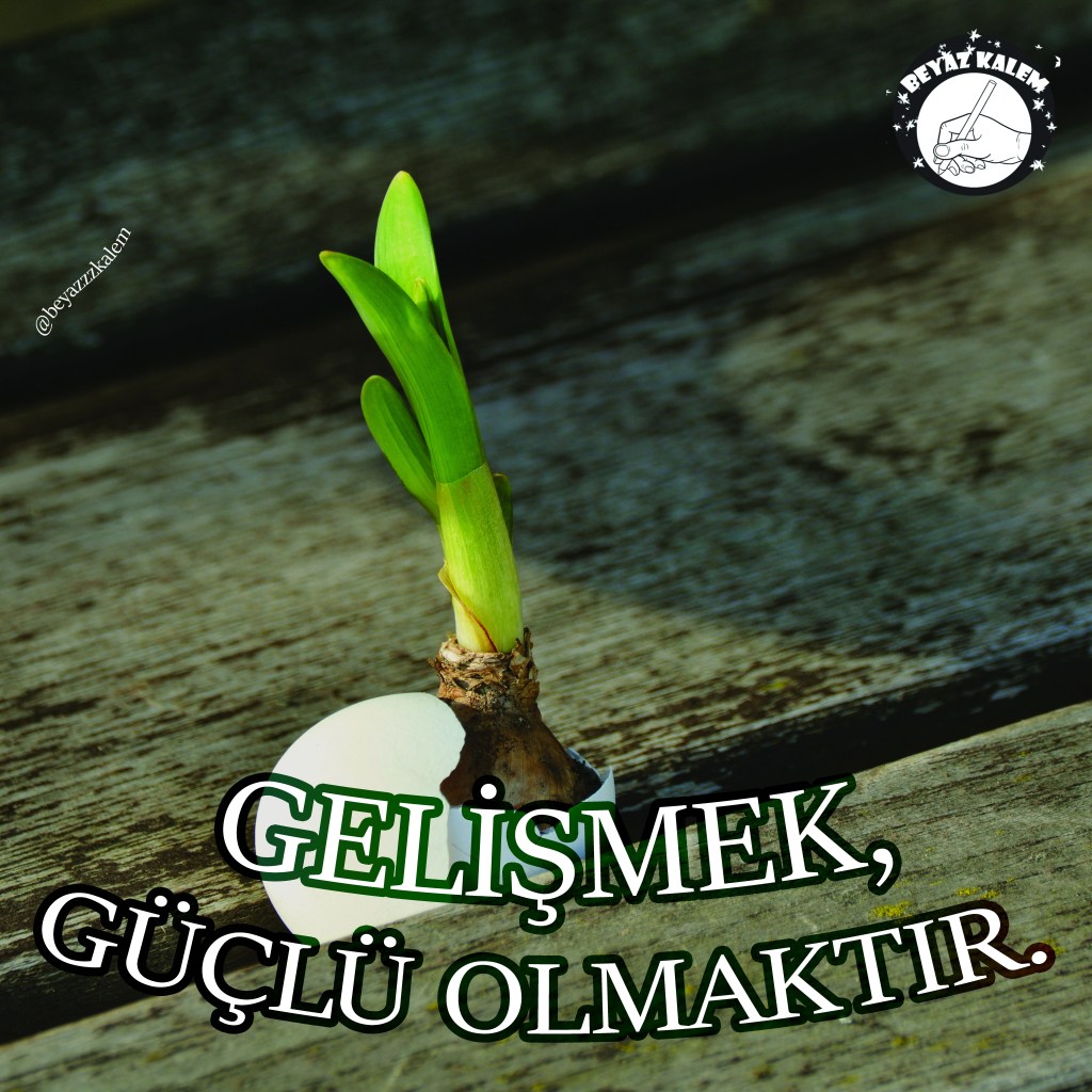 Beyazzzkalem söz kitaplığı