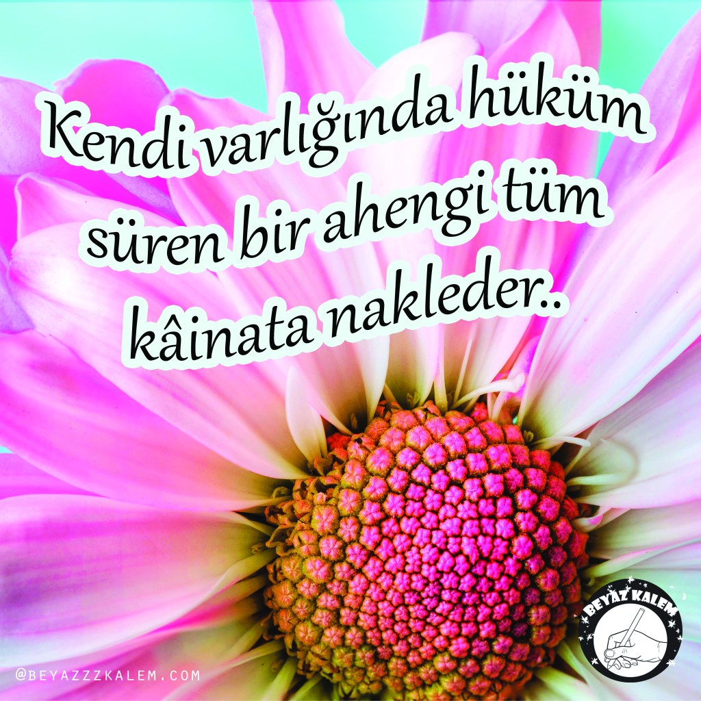 Beyazzzkalem söz kitaplığı