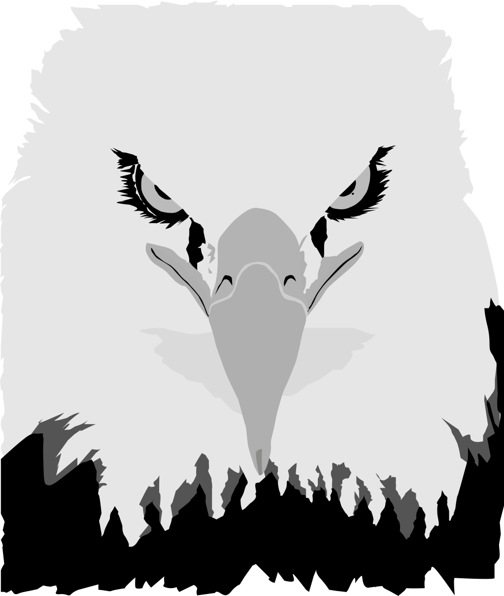 VEKTÖREL KARTAL KUŞU