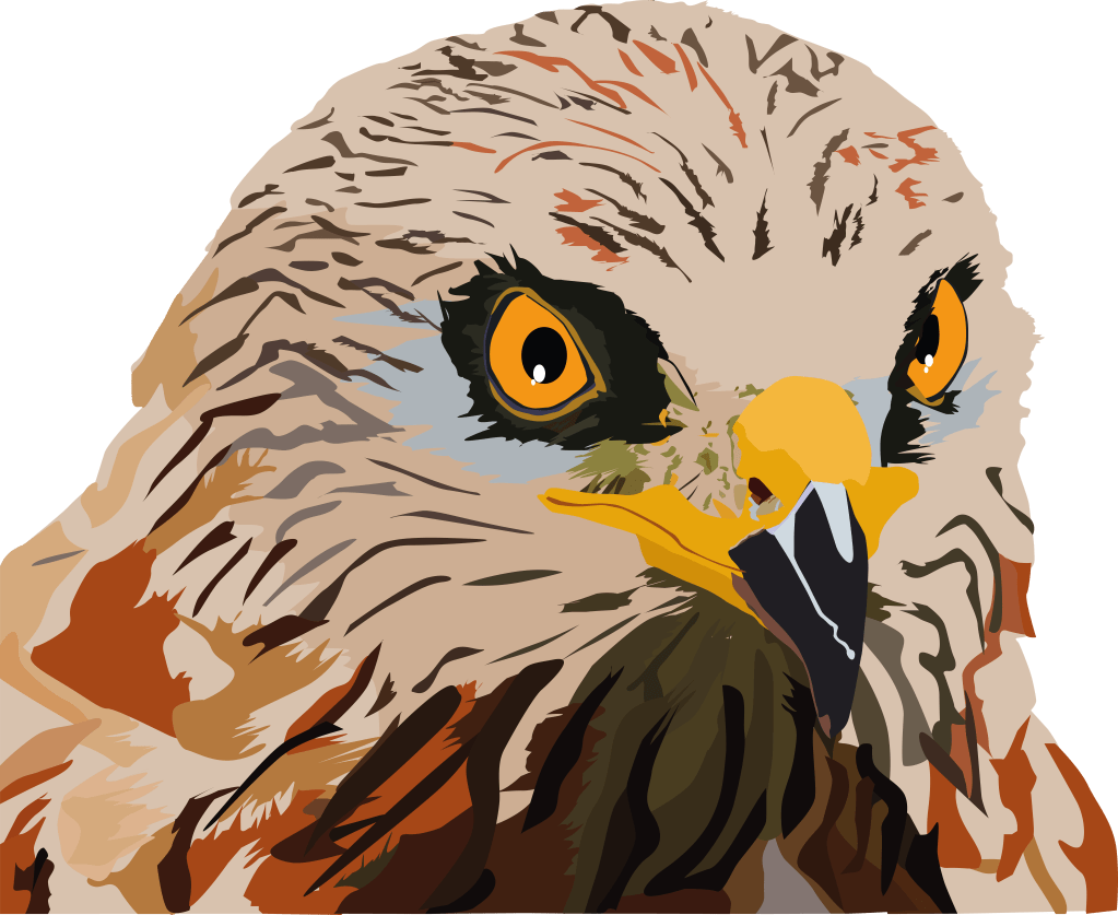 VEKTÖREL ŞAHİN KUŞU