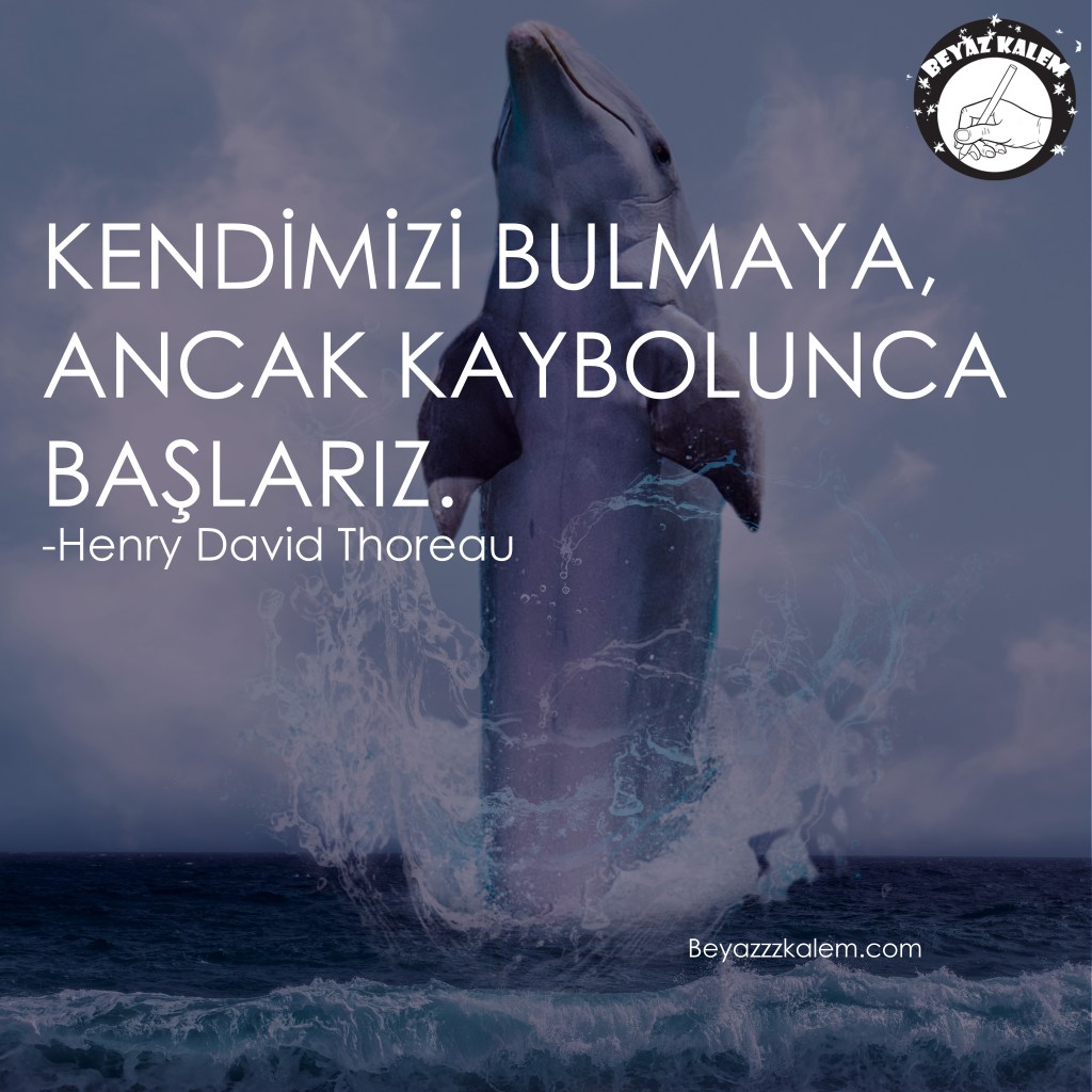 Beyazzzkalem.com