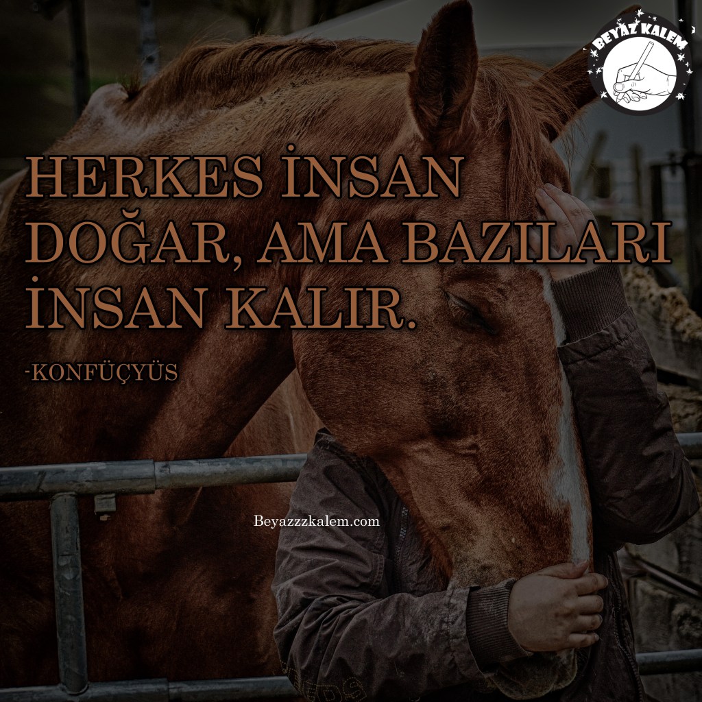 Beyazzzkalem.com