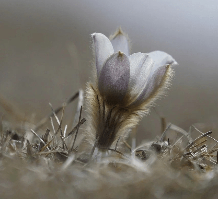 4 NİMETİN KIYAMET&nbsp;HESABI